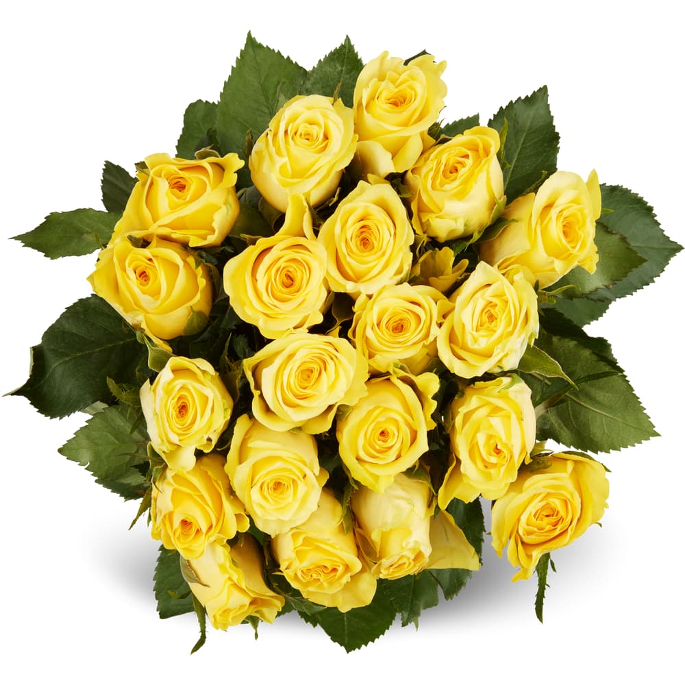 M-Classic Fairtrade Minirosen gelb