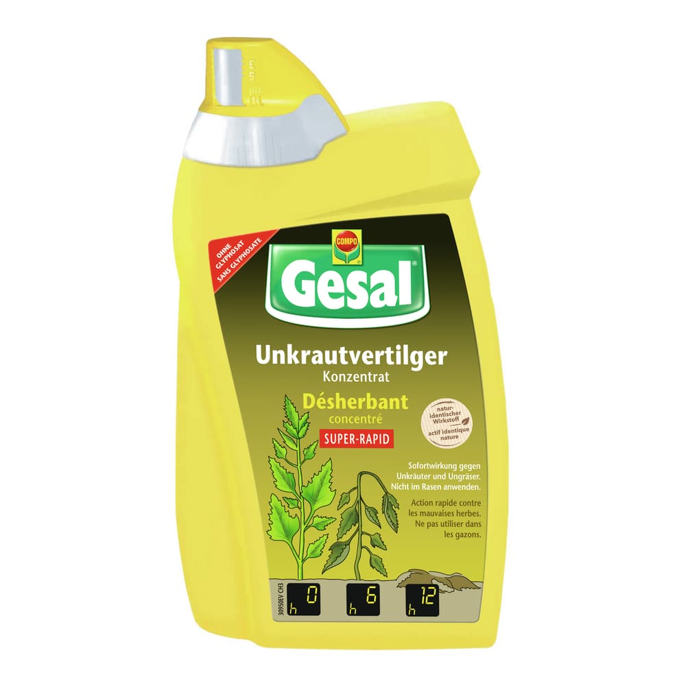 elefantenfuß künstlich XXL Elefantenfuß Nolina kaufen – Green Me Up