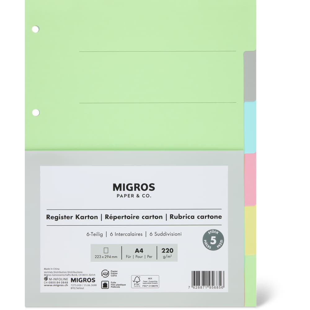 Migros Paper & Co. Kartonregister A4, 6-teilig, bunt