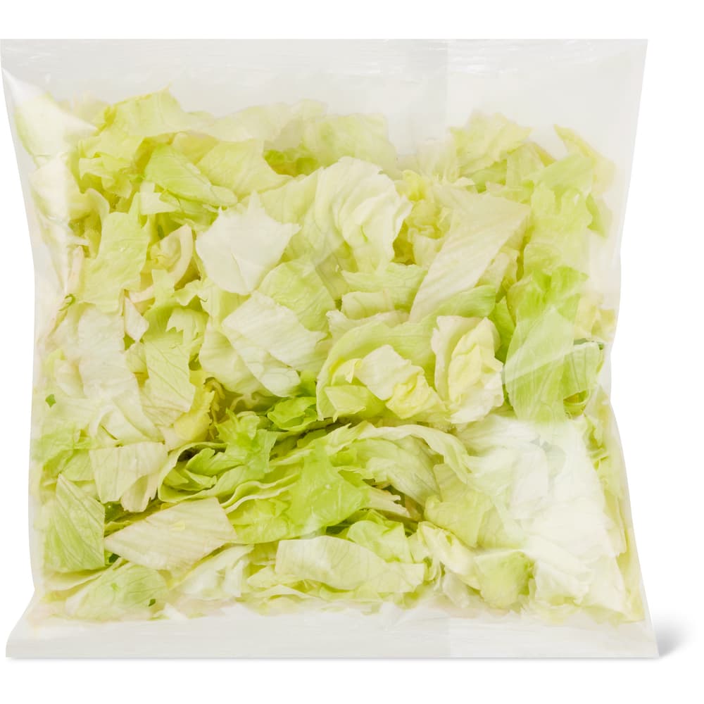 Eisbergsalat Bio