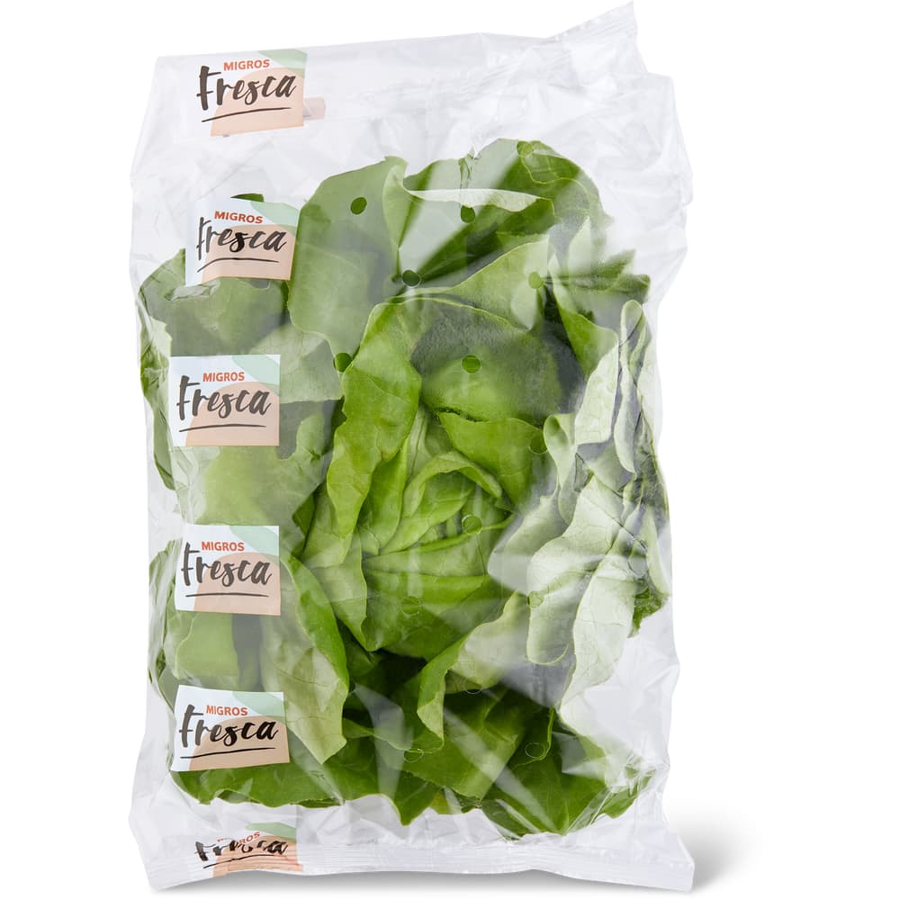 Migros Fresca Kopfsalat grün