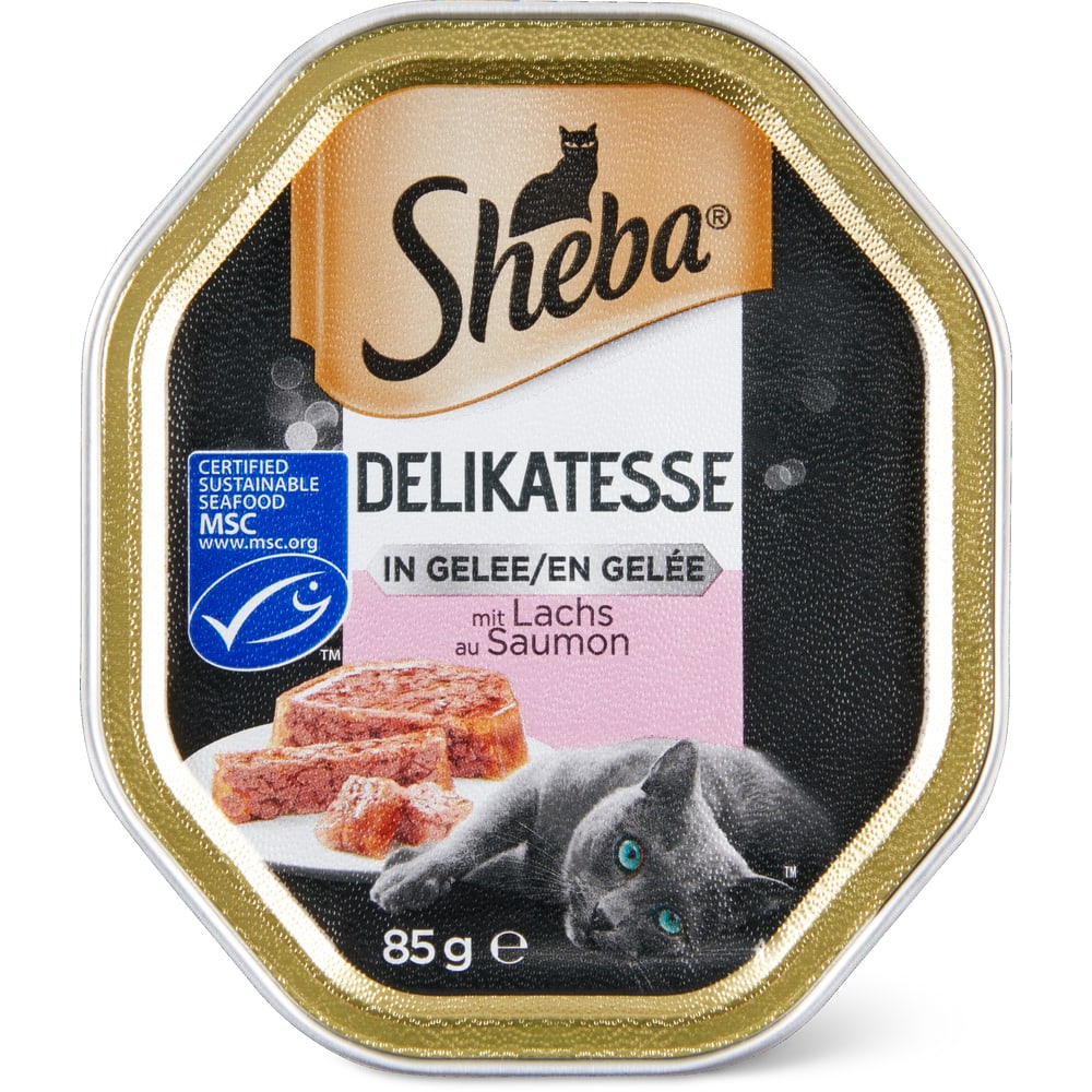 Sheba Delikatesse Häppchen in Gelée Lachs