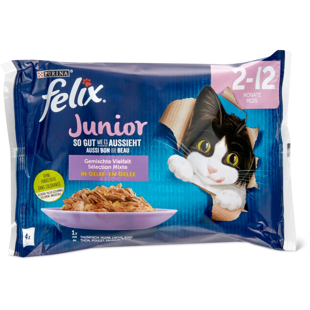 Felix Junior Gemischte Vielfalt in Gelee Thunfisch, Huhn, Lachs, Rind