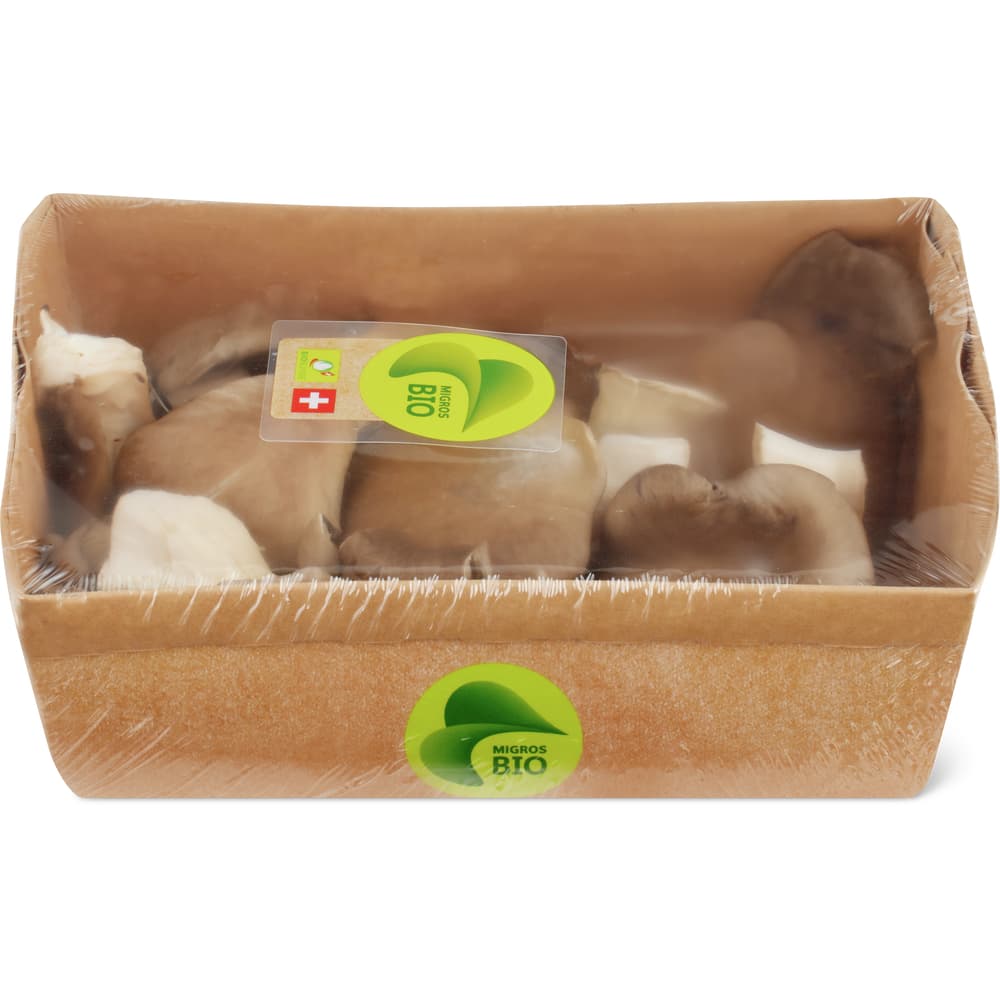 Migros Bio Pilze Austernseitling