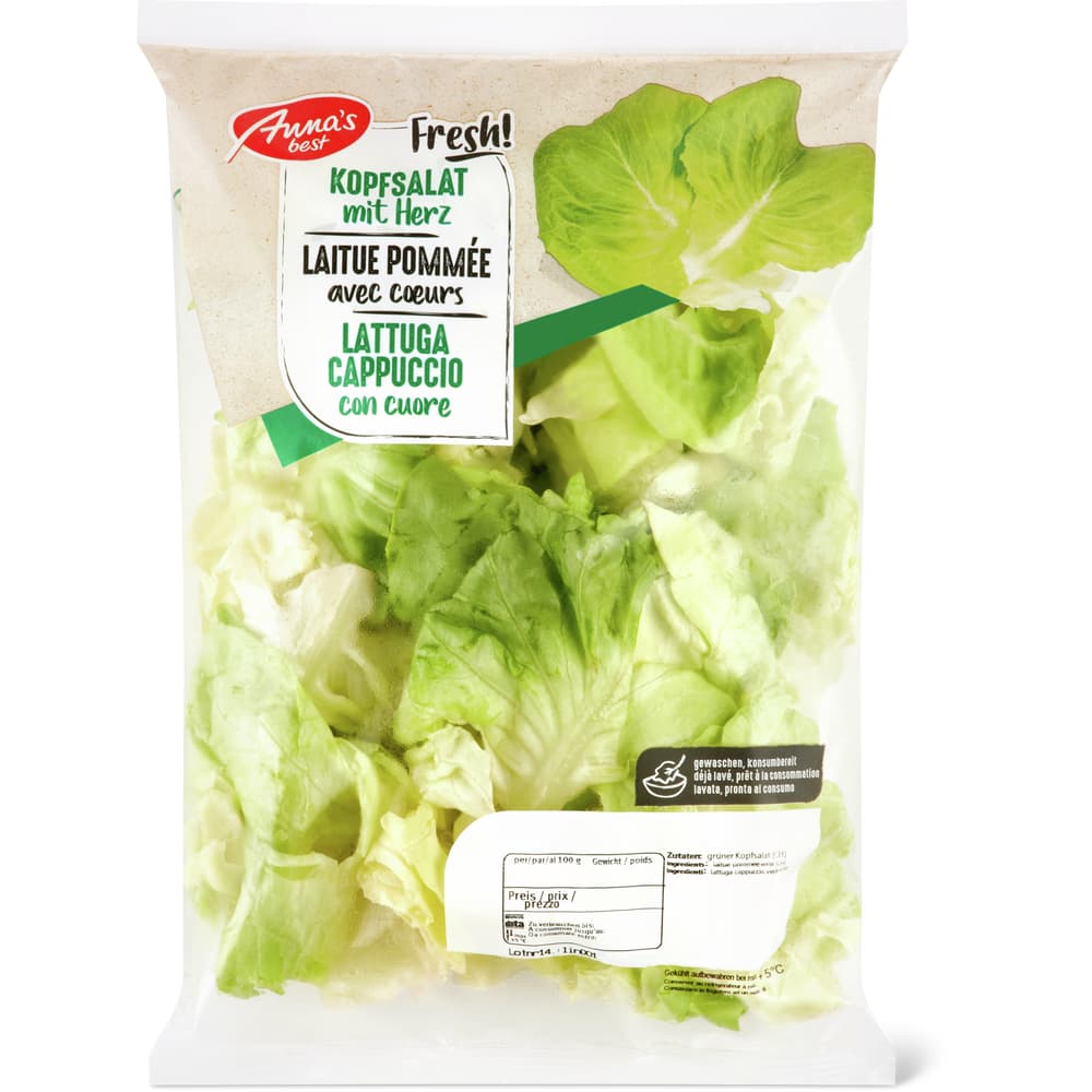 Anna's Best Kopfsalat verte