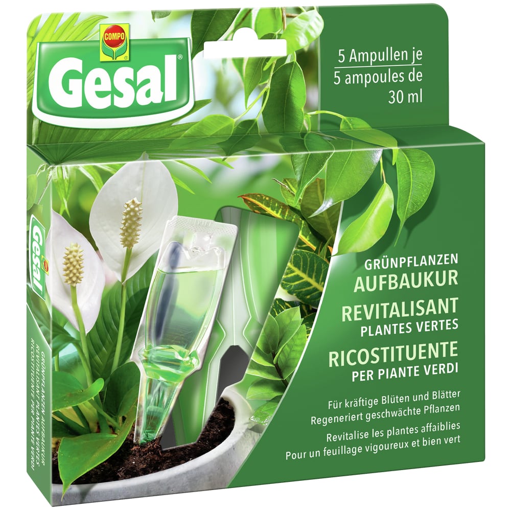 Compo Gesal  Foliage Plant Restorative Treatment  Migros