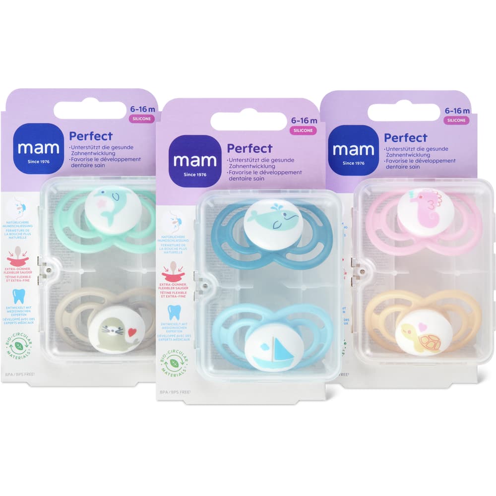 MAM Perfect Nuggi Ab 6 Monaten