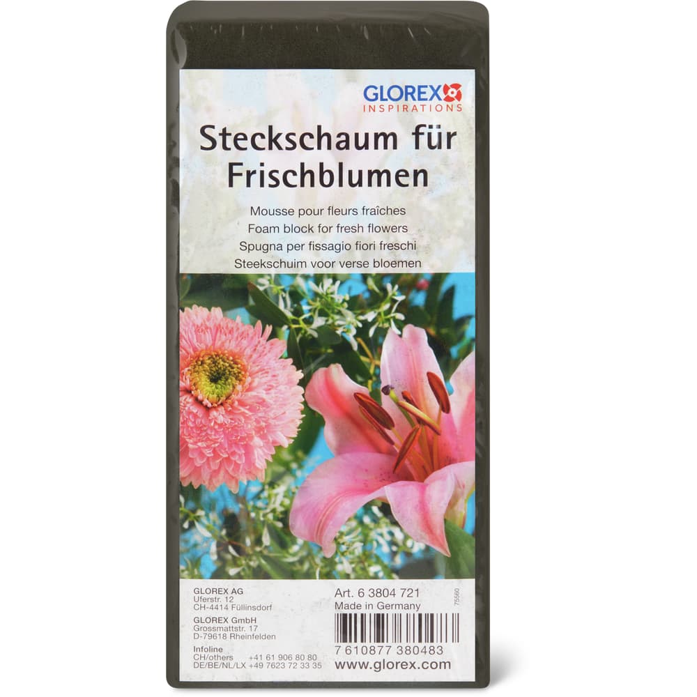 Glorex · Steckschaum für Frischblumen