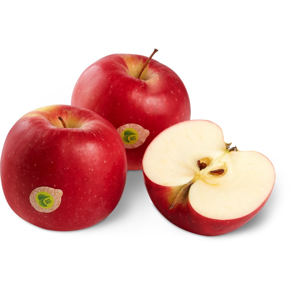 Saisonäpfel Bio