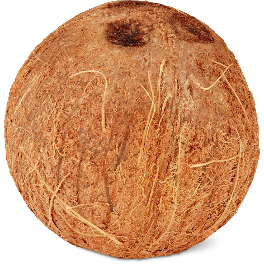 Kokosnuss