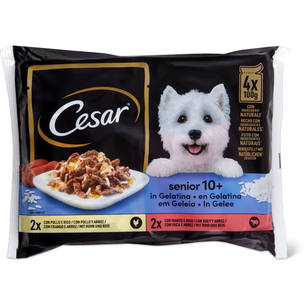 Cesar Senior Häppchen in Gelée Senior 10+ - Mit köstlichem Huhn und Reis und mit zartem Rind und Reis