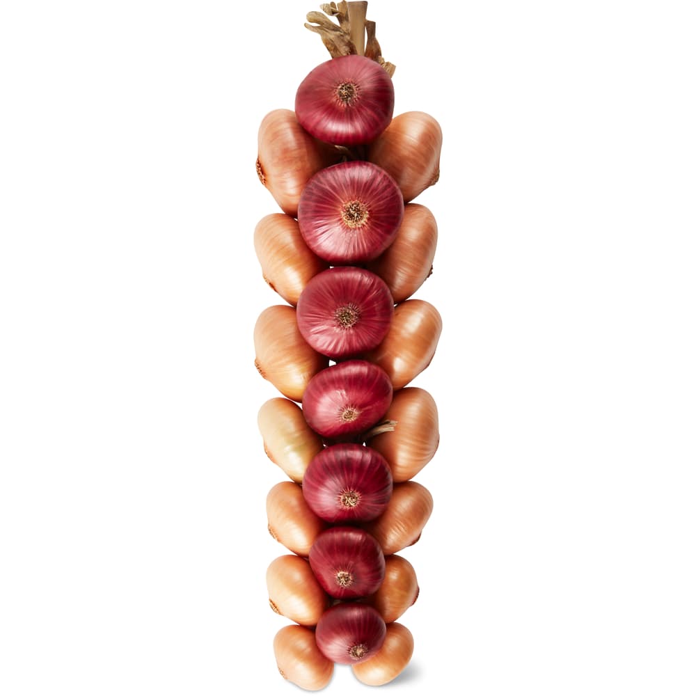 Zwiebelzopf Online Kaufen