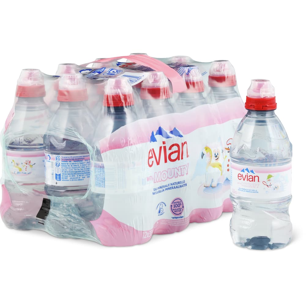 Evian Mineralwasser Mini ohne Kohlensäure