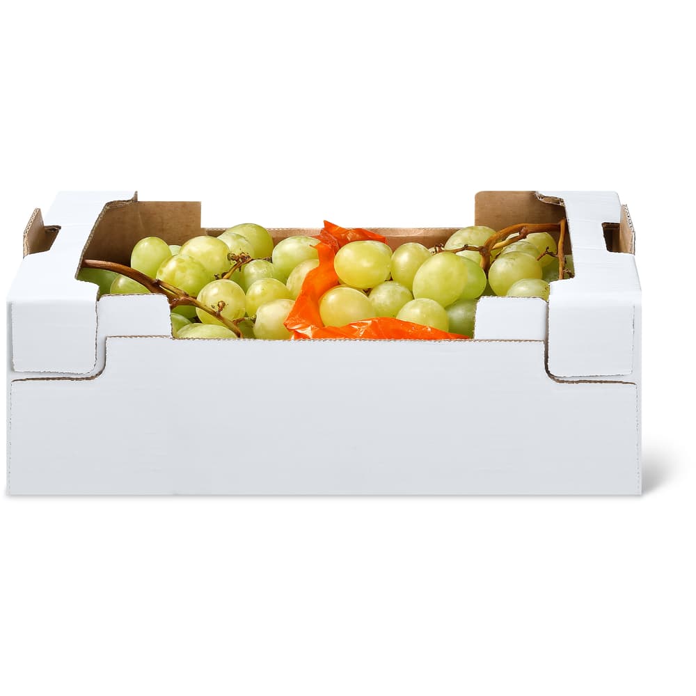 Migros Trauben Italia