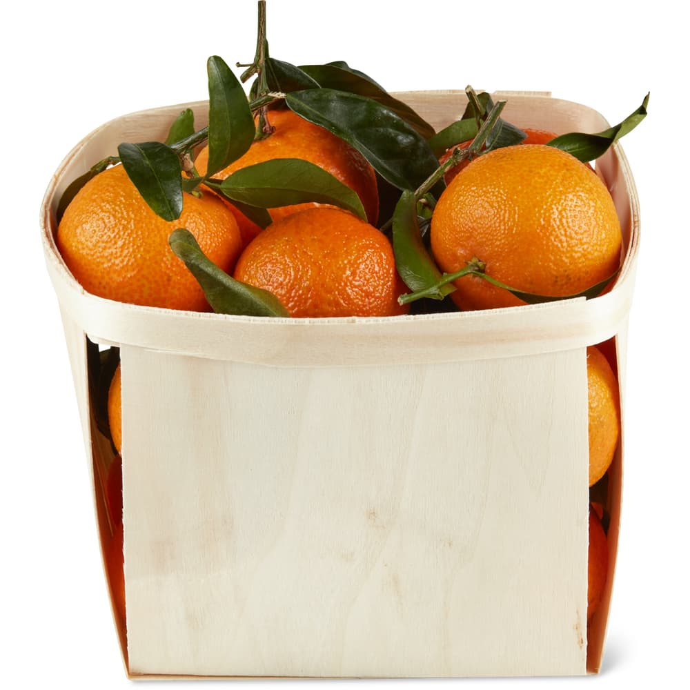 Extra Clementinen mit Blatt