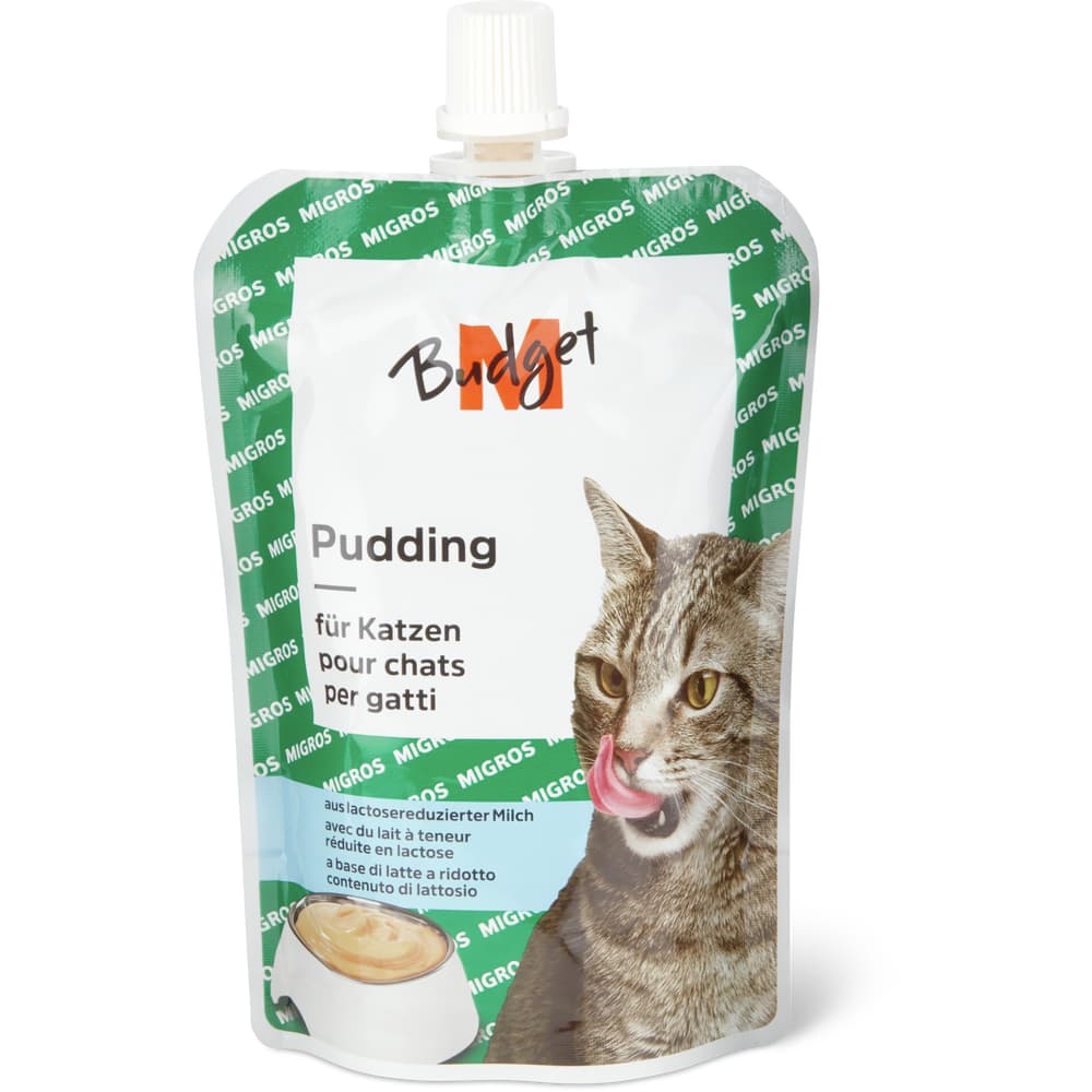 M-Budget Pudding für Katze