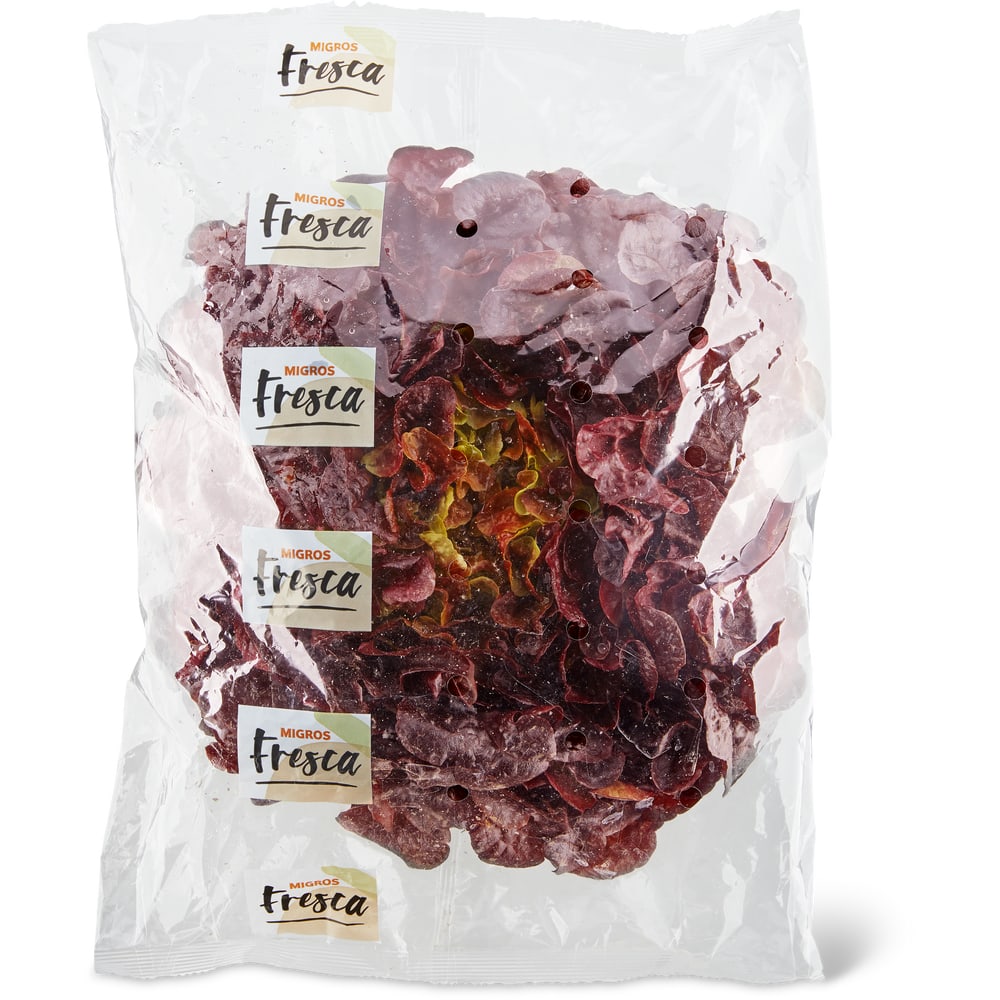 Migros Fresca Eichblattsalat Rot
