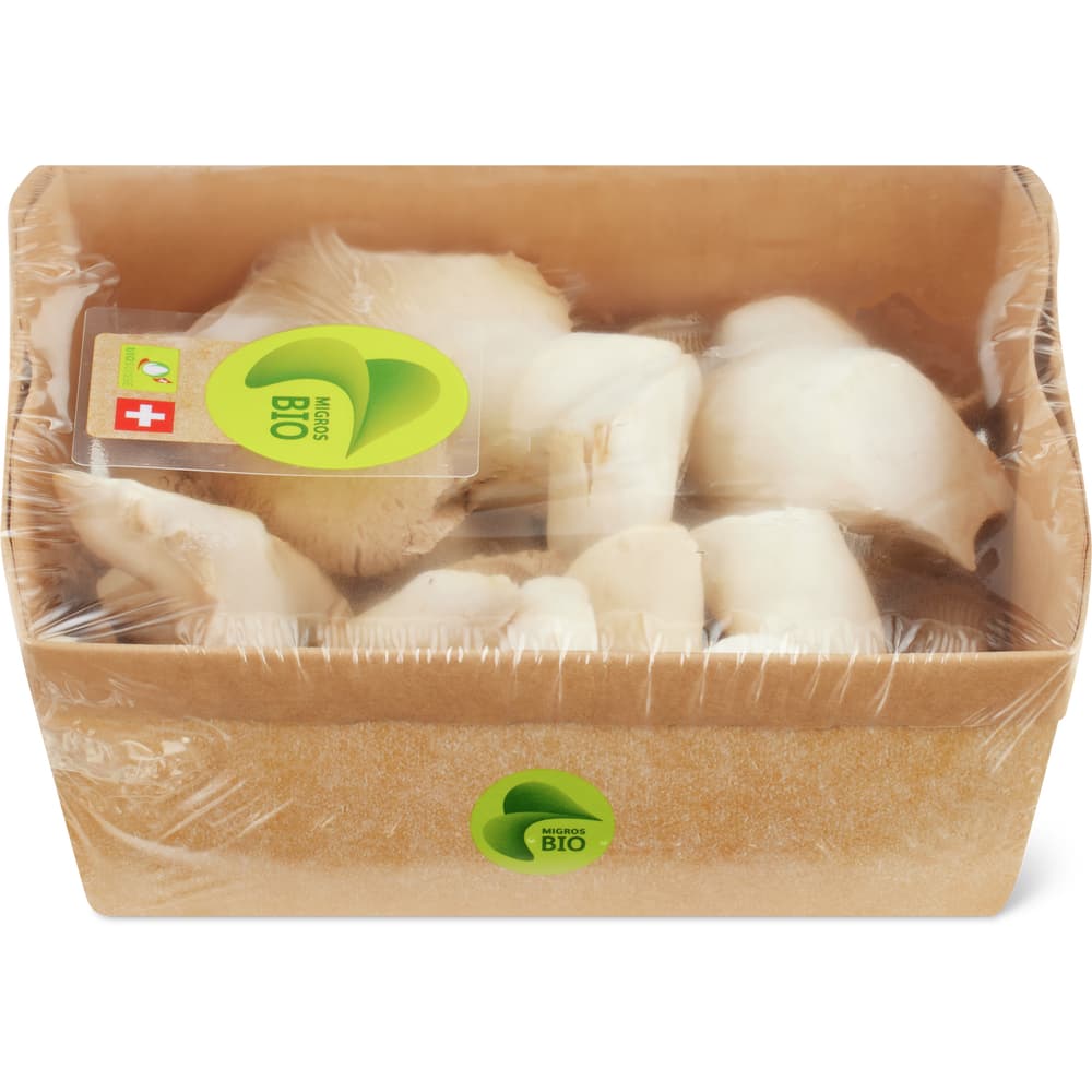Migros Bio Pilze Kräuterseitlinge