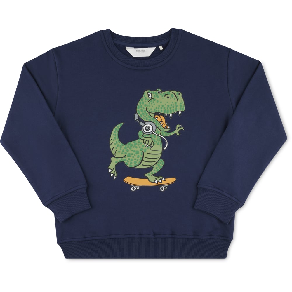 Sweat Enfant EUFANCE - 100% Coton Doux - Taille 90 à 140 - Coupe Loose, Manches Longues - Coloris Assortis