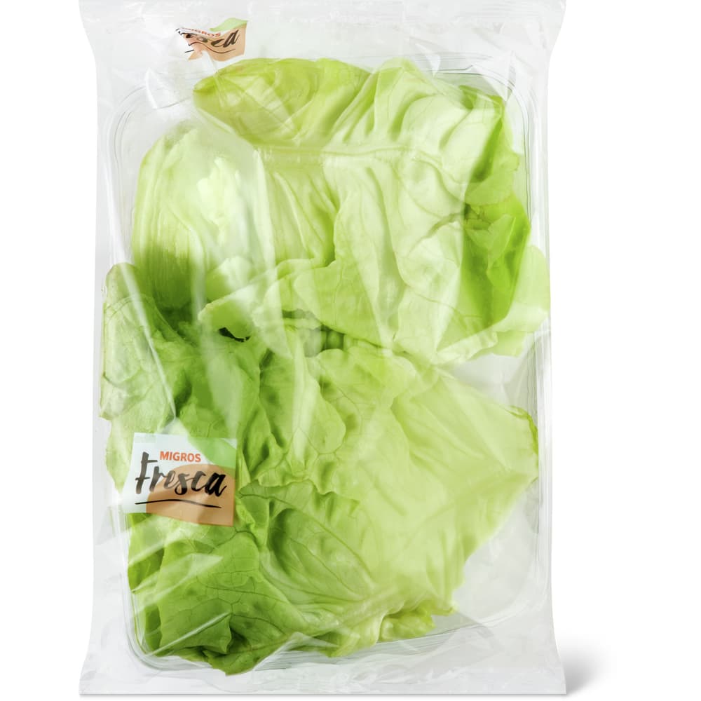 Migros Fresca Kopfsalat Duo grün