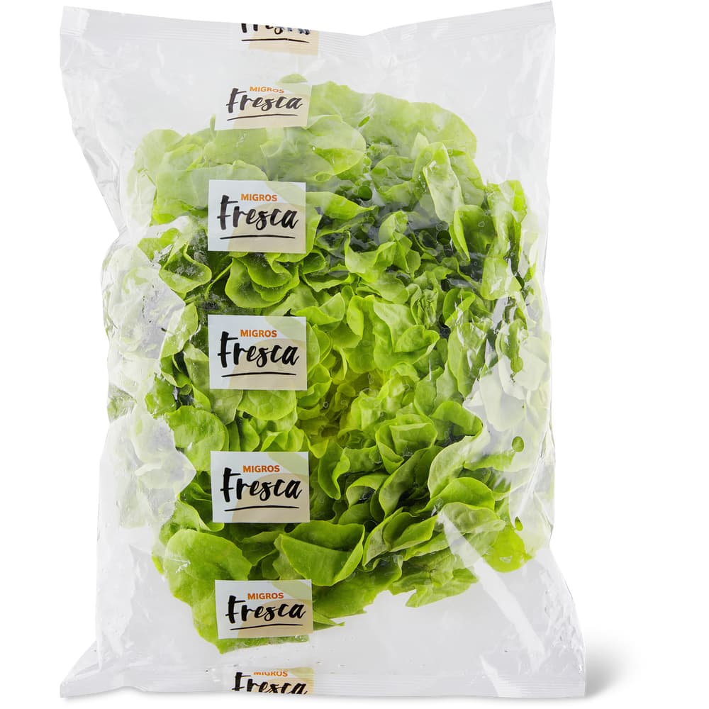 Migros Fresca Eichblattsalat grün
