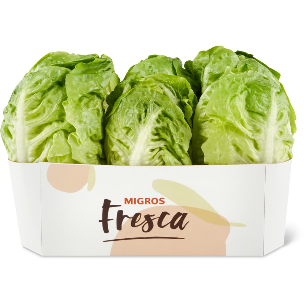 Migros Fresca Lattich mini, grün