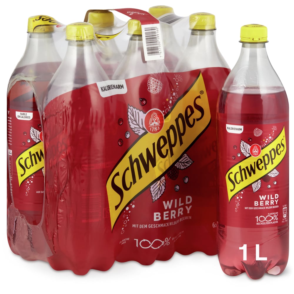 Schweppes Wild Berry kalorienarm