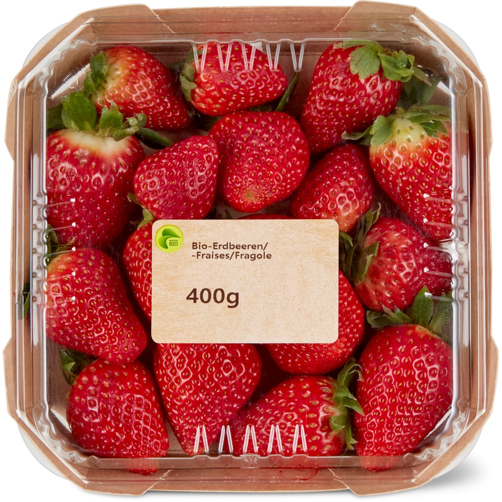 Erdbeeren Bio