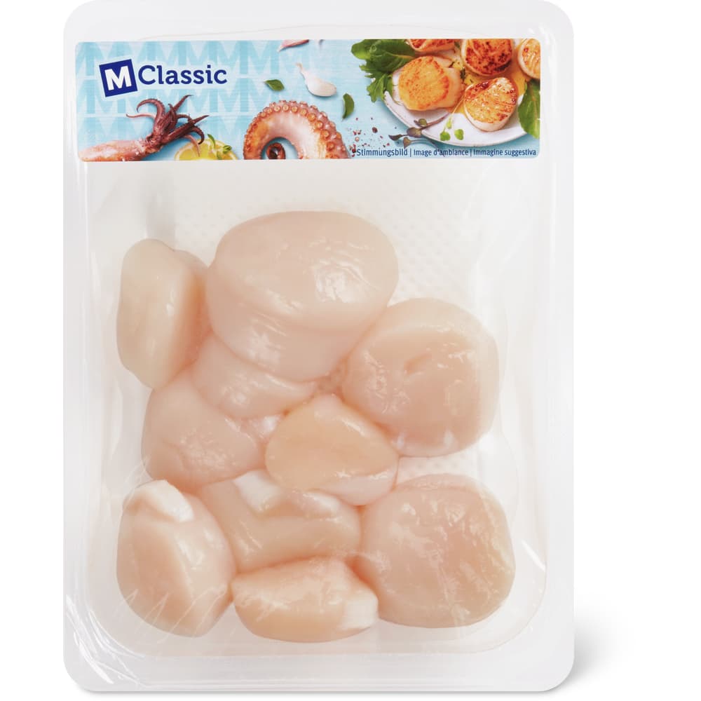 M-Classic MSC Jakobsmuscheln