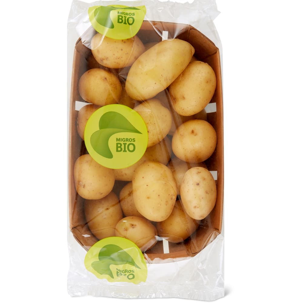 Kartoffeln bio