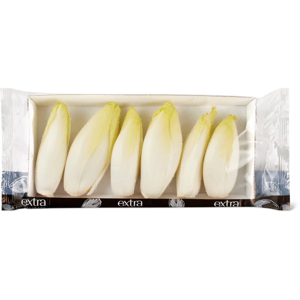 Extra Chicorée Junge