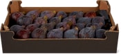 Feigen Solies