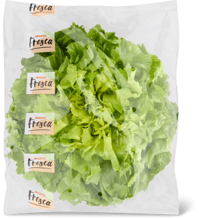 Migros Fresca Indivia Lavata