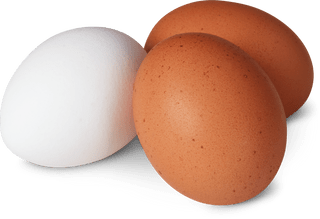 Schweizer Eier Freiland 68g+