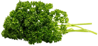 Bio Parsley Curly