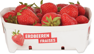 Fragole