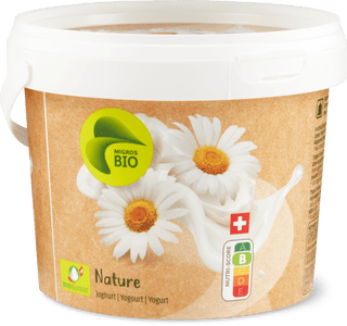 Bio Yogurt al naturale
