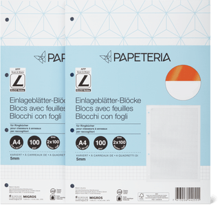 Blocco di fogli con anelli A4 Papeteria, quadretti da 5 mm (100 fogli)