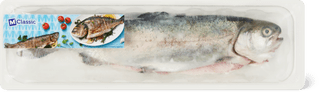 Aus der Region Trout Whole