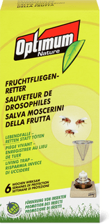 Fruchtfliegenretter