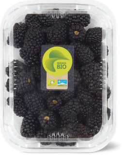 Bio Brombeeren
