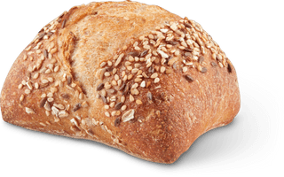 Bio Vitalbrötchen