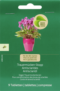 Trauermücken-Stopp