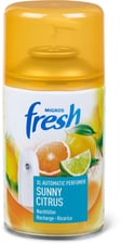 XL Automatic Sunny Citrus