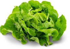 Bio Lattuga cappucio verde