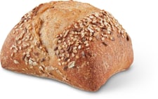 Bio Vitalbrötchen