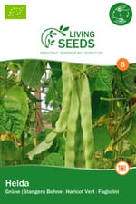 Haricot vert , Helda