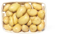 Pommes de terres grenailles