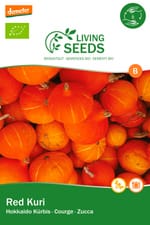 Courge, red Kuri