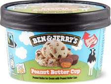 Ben & Jerry's Fairtrade Glace en pot Peanut Butter Cup